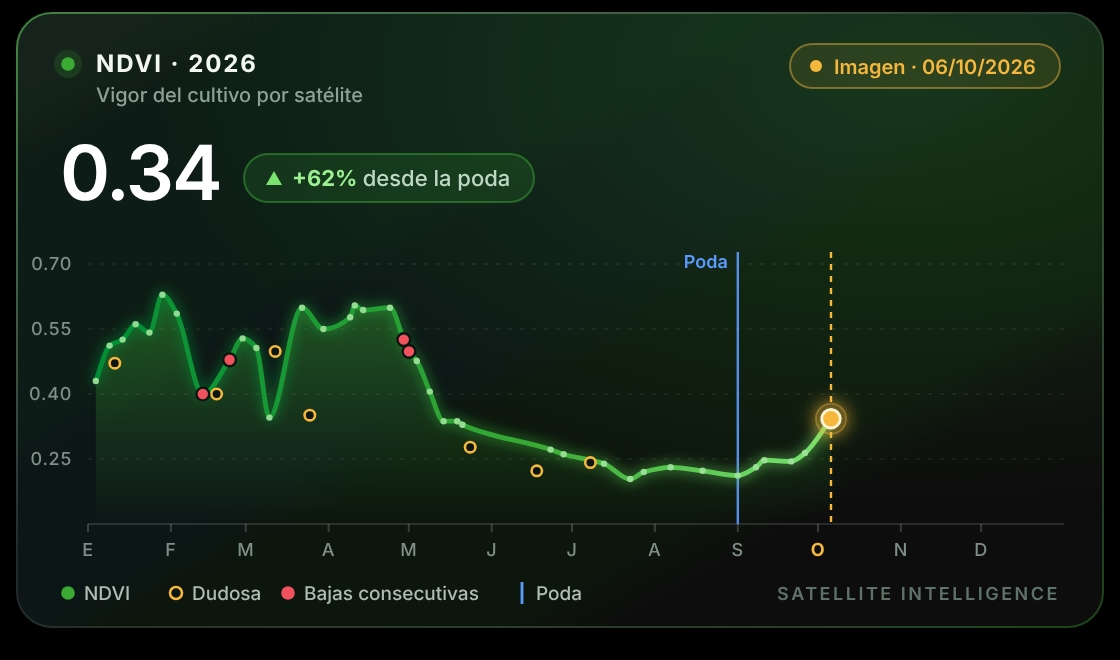 Tarjeta de historial NDVI: vigor del cultivo 0,34, +62 % desde la poda, con la curva de la temporada 2026